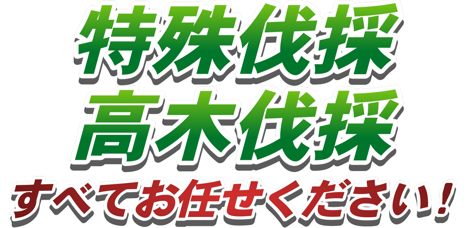 特殊伐採・高木伐採全てお任せください!