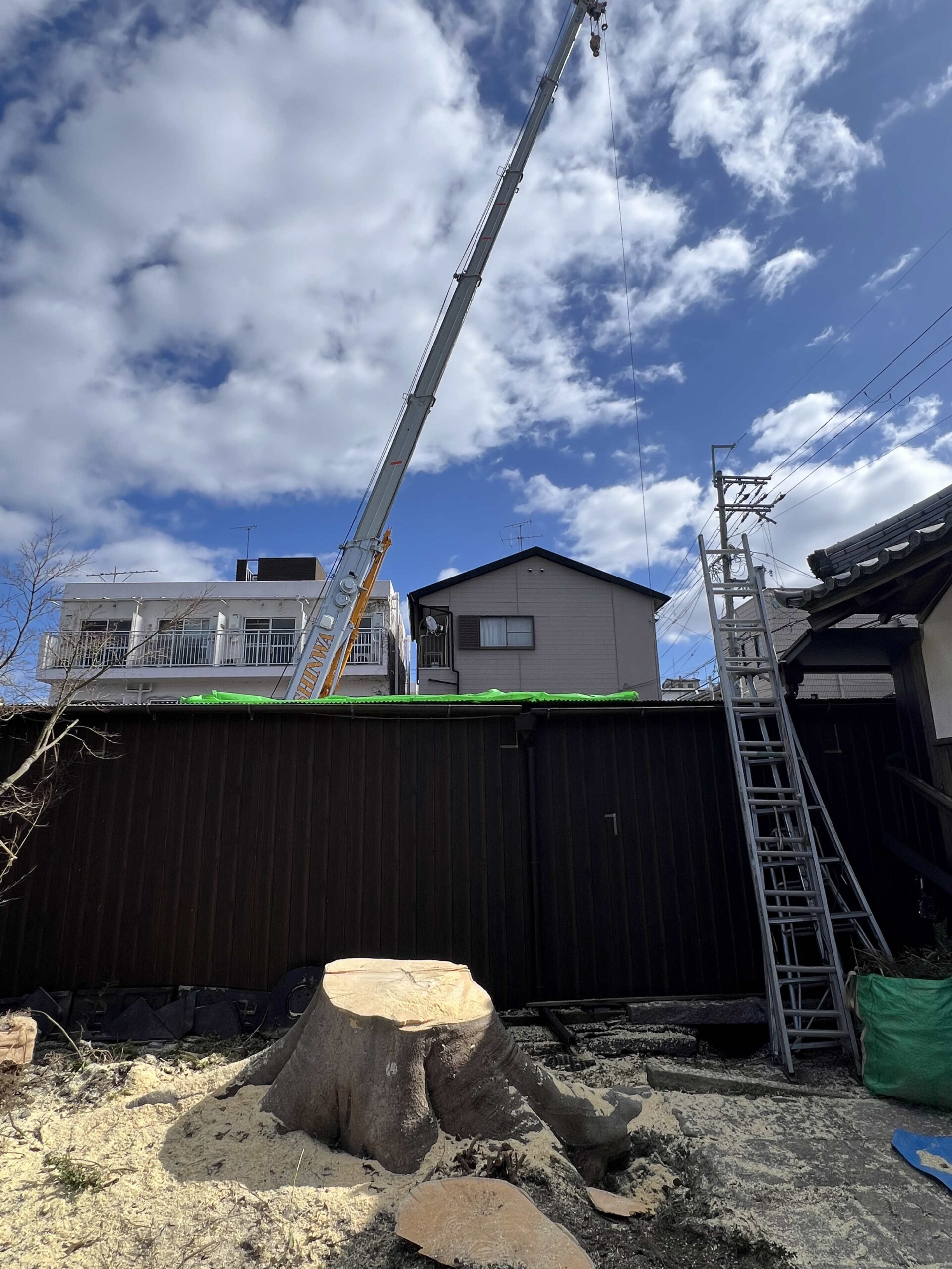 【京都市】モチノキの伐採事例｜クレーン車で1トン超の大径木を安全搬出 - After